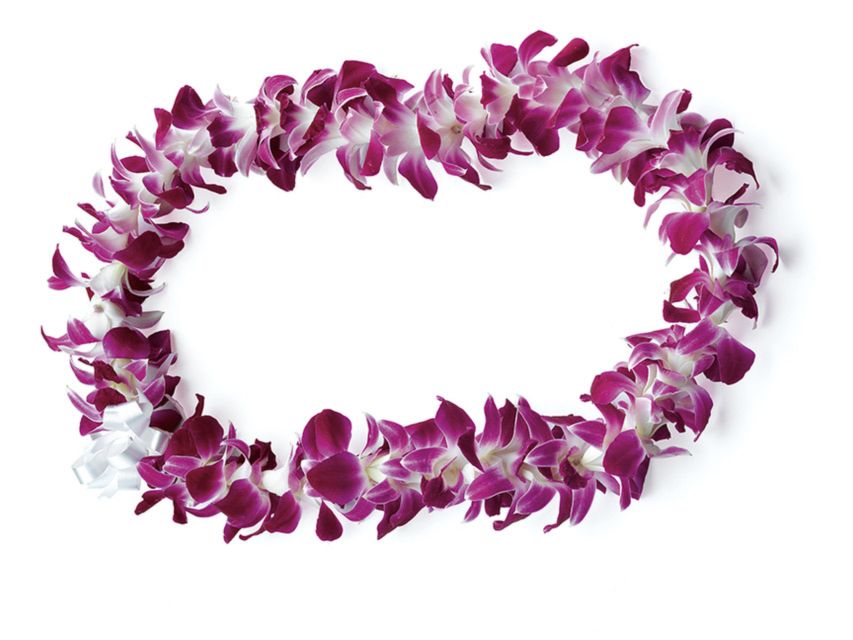 Honolulu: Private Airport Transfer with Arrival Lei Greeting - The orchid lei and what it adds