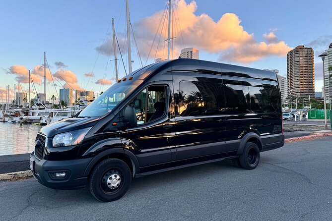 Honolulu Private Transfer: Airport, Port, Hotel (1-12 Passengers) - A practical Honolulu landing plan for large groups