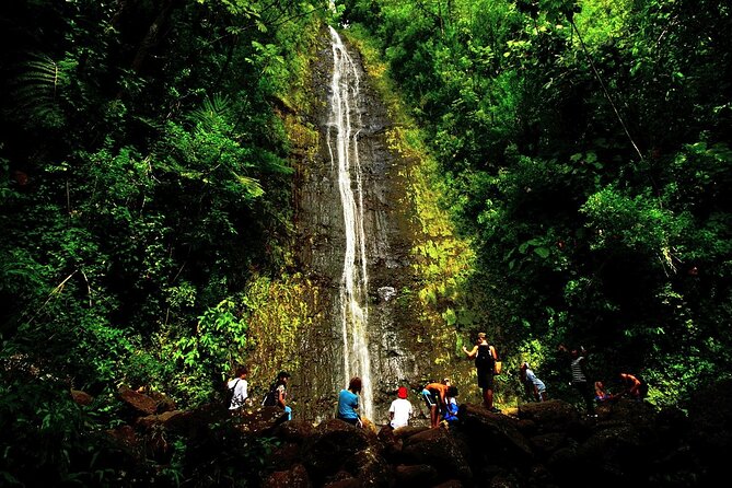 Honolulu Rainforest Self-Guided Audio Tour - Three botanical gardens give you different kinds of greenery
