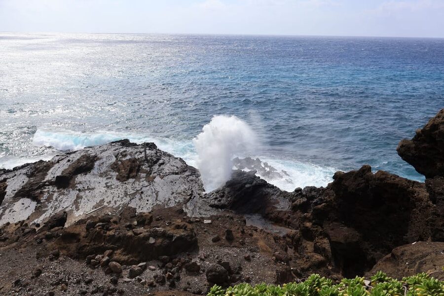 Honolulu: Stunning Views of Oahu! Half-day Scenic Tour - How to get the most from the viewpoints