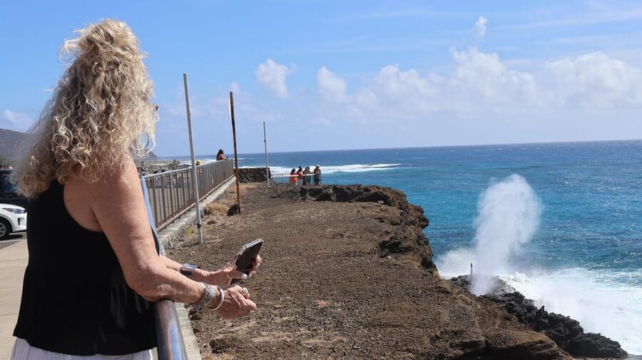 Honolulu: Stunning Views of Oahu! Half-day Scenic Tour - What the four-hour pace feels like