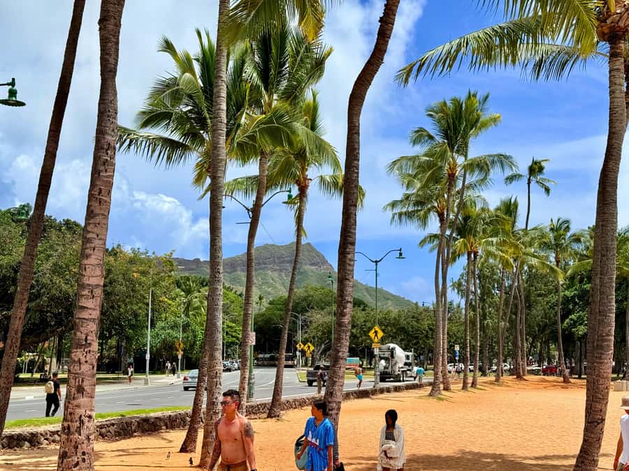 Honolulu: Waikiki Food Tour with Local Guide - The guide can shape the whole experience