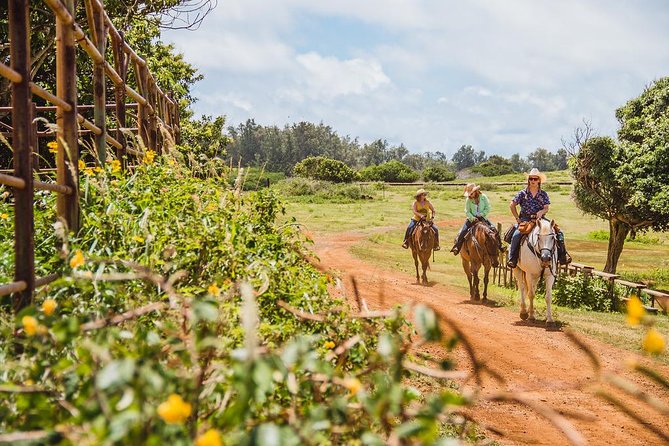 Horseback Ride Like an Authentic Paniolo in Kahuku - Key points to know before you book