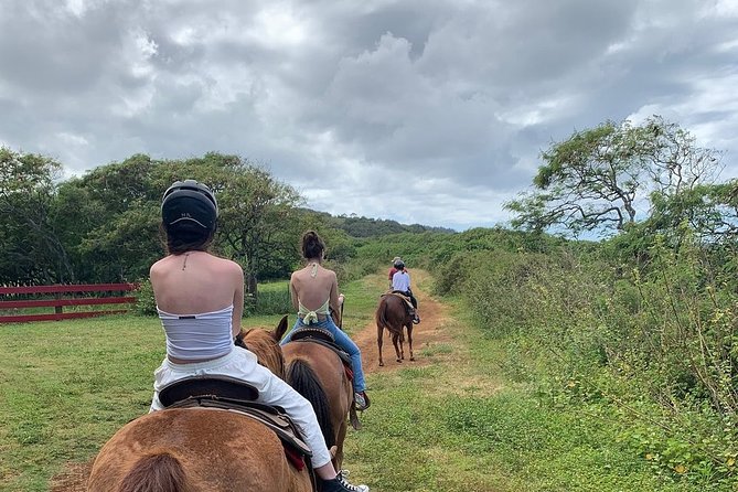 Horseback Ride Like an Authentic Paniolo in Kahuku - Price, timing, and the value of the outing
