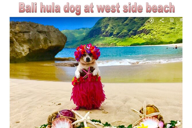 Incredible west side hidden gems -PLEASE CONTACT BEFORE BOOKING - Is $530 per person a fair value?