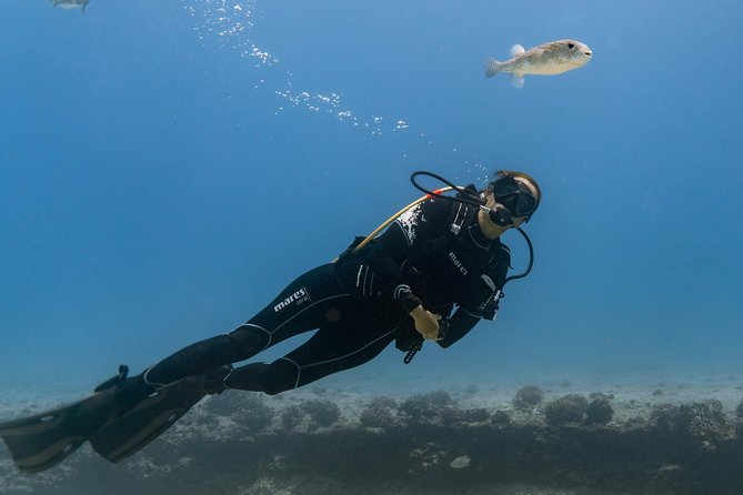 Incredibly Fun Coral Reef Giant Sea Turtles 4hour Boat Scuba Tour - What this Oahu boat outing really is
