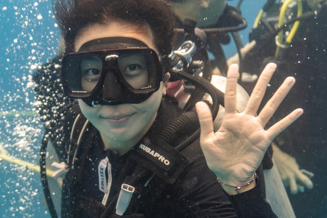 Incredibly Fun Coral Reef Giant Sea Turtles 4hour Boat Scuba Tour - Starting at Waikiki Dive Center