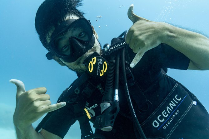 Incredibly Fun Coral Reef Giant Sea Turtles 4hour Boat Scuba Tour - From Waikiki to the boat