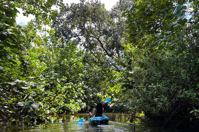 Kahana Bay River to Ocean: Kayak and Stand Up Paddle Board Rental - Key points at a glance