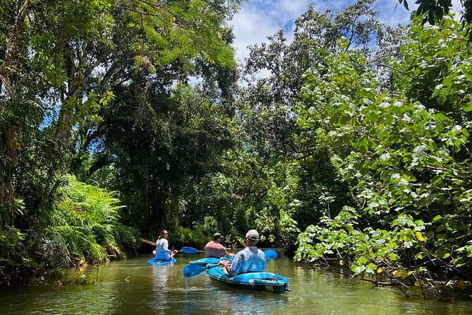 Kahana Bay River to Ocean: Kayak and Stand Up Paddle Board Rental - Kayak or stand-up paddleboard?