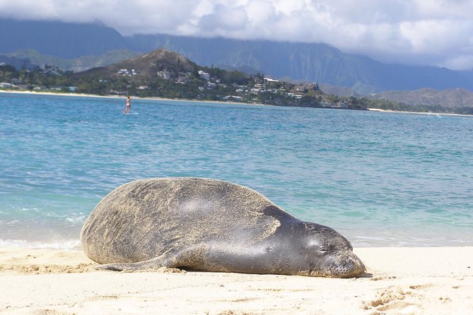 Kailua Bay, Oahu: Epic Kayak and Snorkel to Islands - Snorkeling near Lanikai and the islands
