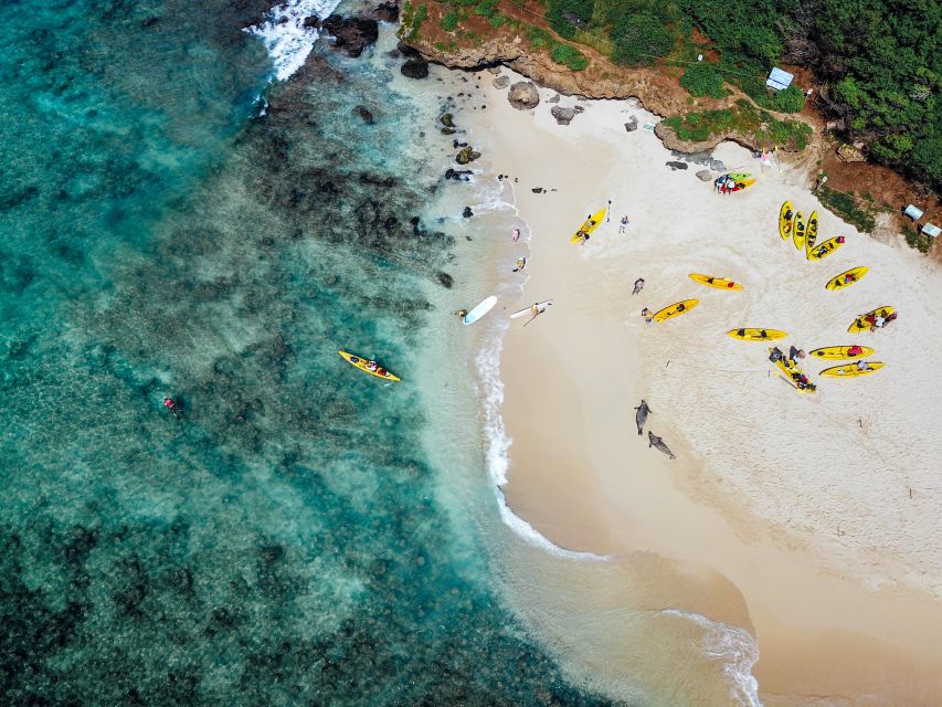 Kailua: Mokulua Islands Guided Kayak and Snorkeling Tour - Kayak surfing when the waves cooperate