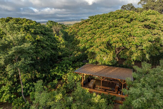 Kamananui Cacao Orchard Tour - The tasting: chocolate, aroma, and cacao tea