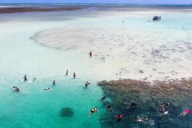 Kaneohe Sandbar Snorkeling Tour - 1st Tour - Why Kaneohe Sandbar Feels Different From a Typical Oahu Boat Trip