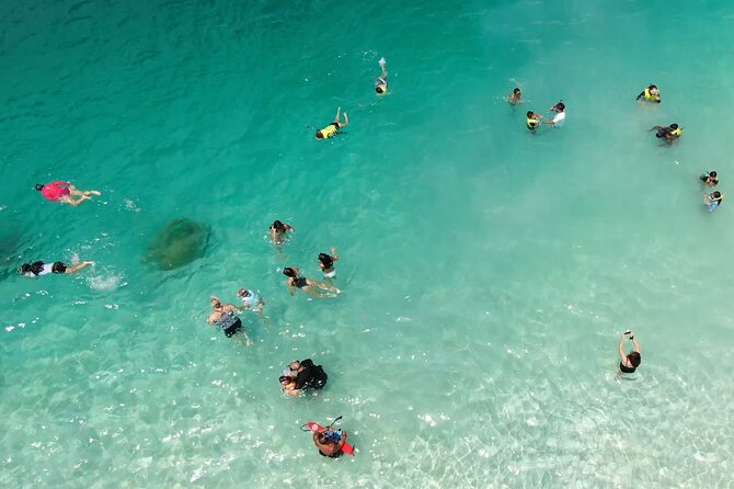 Kaneohe Sandbar Snorkeling Tour - 1st Tour - Snorkeling Near Coral, Fish, and Turtles