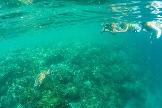Kaneohe Sandbar Snorkeling Tour - 1st Tour - Who Will Enjoy This Oahu Excursion Most?