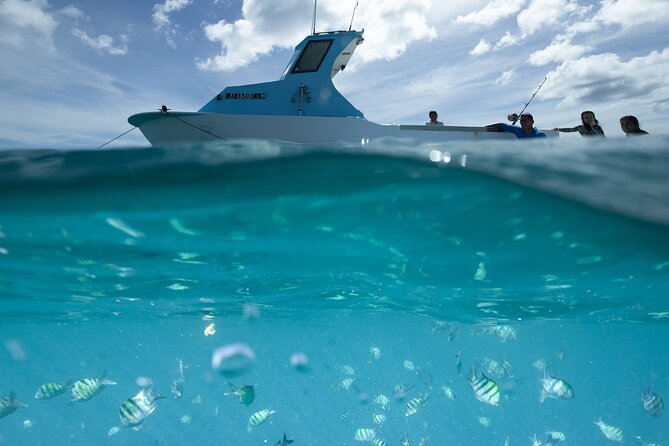 Kayak, Snorkel, and Surf with Turtles in Honolulu - Starting over Waikiki’s coral reef