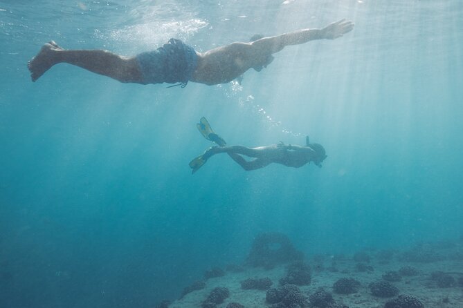 Kayak, Snorkel, and Surf with Turtles in Honolulu - What the $200 price really covers