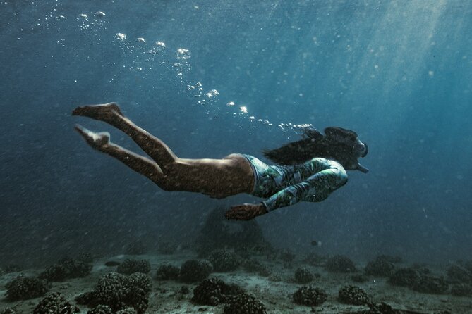 Kayak, Snorkel, and Surf with Turtles in Honolulu - Practical details that make the day easier
