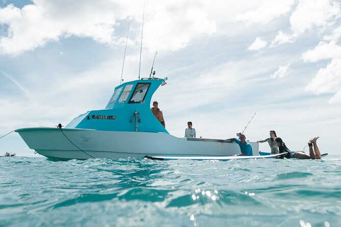 Kayak, Snorkel, and Surf with Turtles in Honolulu - Turtle Canyon and the underwater sights