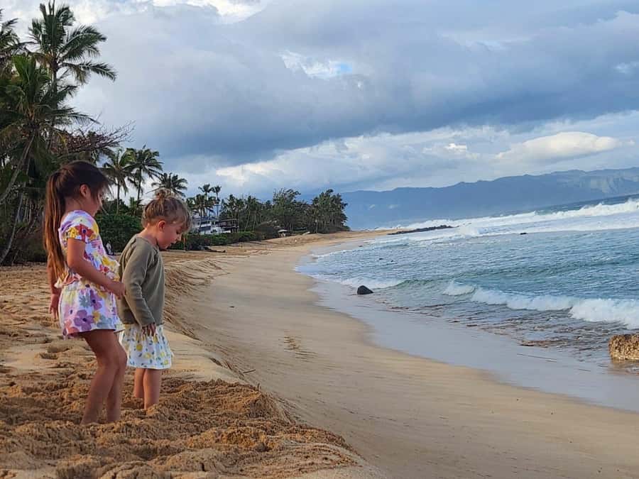 Kevo's Beach Bus - Key points to know before booking