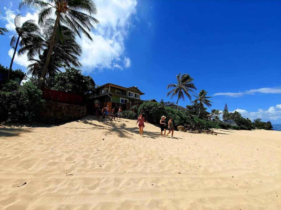 Kevo's Beach Bus - Add a paddleboard or kayak session