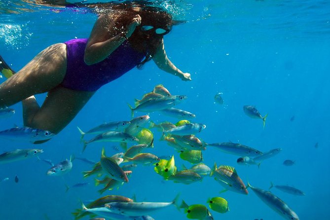 Ko Olina Catamaran Sail and Snorkel with Lunch - Who should book, and who should think twice