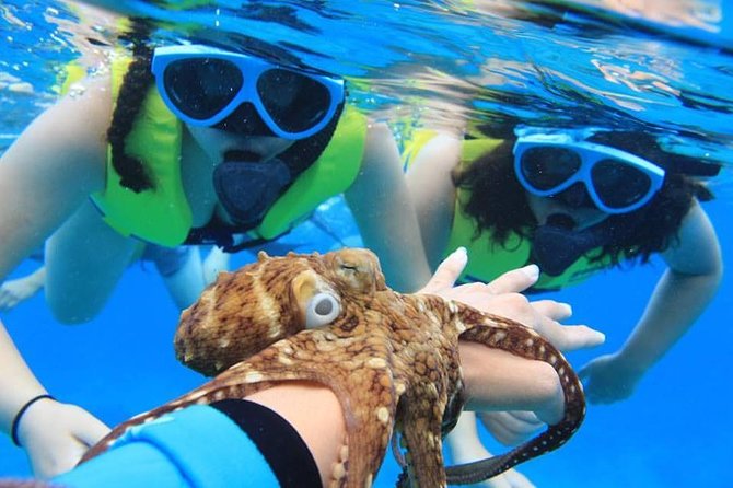 Ko Olina Catamaran Sail and Snorkel with Lunch - Starting at Ko Olina Marina