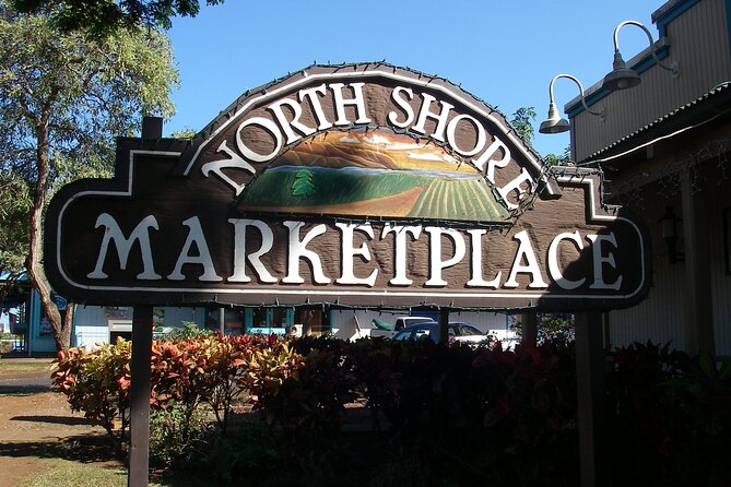 Ko Olina to North Shore Experience -Waimea Falls, Beaches & more - The day’s pace and what to pack