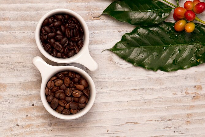 Kona Coffee Tasting: A Farm to Cup Experience - The farm story gives the tasting its value