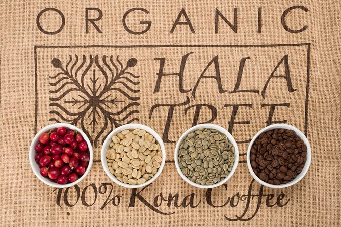 Kona Coffee Tasting: A Farm to Cup Experience - How long the session feels in practice