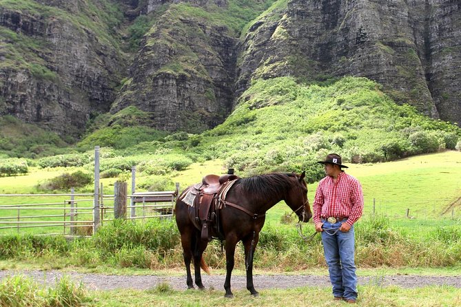 Kualoa Ranch - Horseback Walking Tour - What the Kualoa Ranch horseback tour is really like