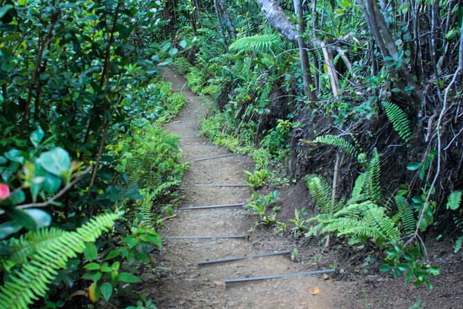Kualoa Ranch: Jungle Expedition Tour - Plants, animals, horses, and a working ranch