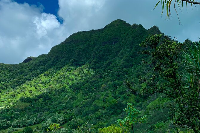 Kualoa Ranch: Jungle Expedition Tour - Price, time, and what you receive
