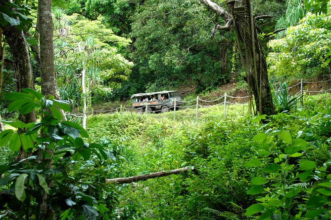Kualoa Ranch: Jungle Expedition Tour - What the 90-minute route feels like