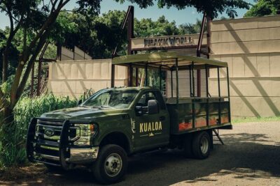Kualoa Ranch Jurassic Adventure Tour