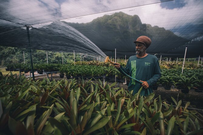 Kualoa Ranch - Kualoa Grown Tour - Orchards, flowers, and seasonal fruit