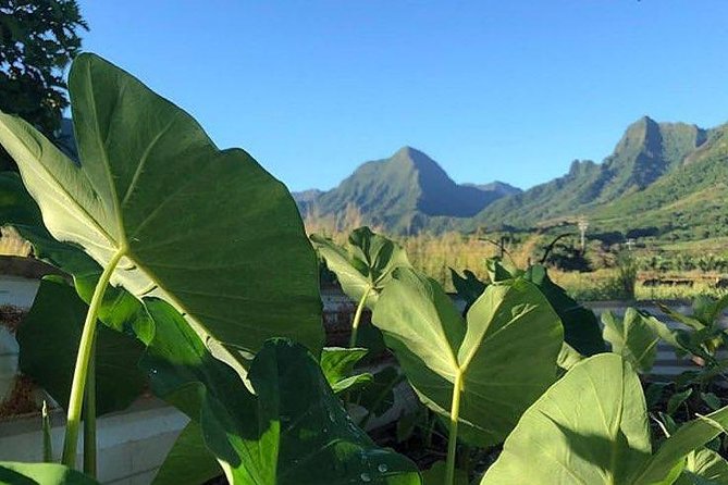Kualoa Ranch - Kualoa Grown Tour - Who will enjoy this tour most