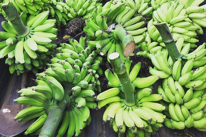 Kualoa Ranch - Kualoa Grown Tour - Practical details that affect your day
