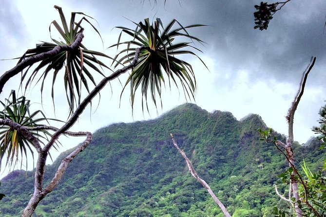 Kualoa Ranch: Novice E-Bike - Who should choose this e-bike tour?