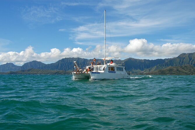 Kualoa Ranch: Ocean Voyage Tour - Turtles are a welcome bonus, not the main attraction