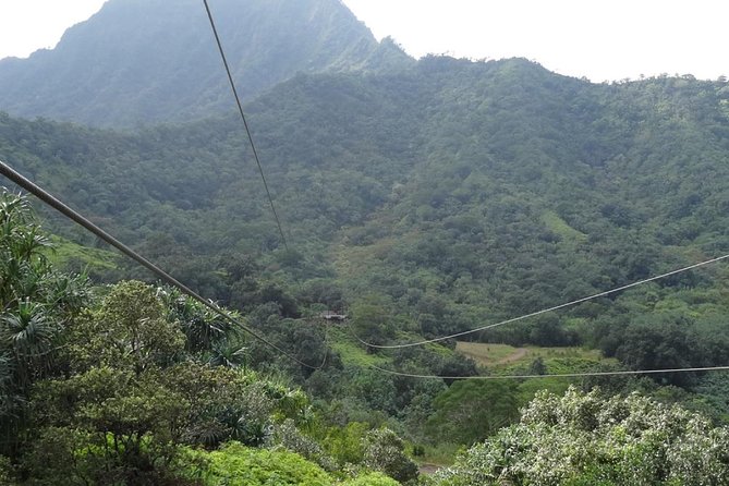 Kualoa Ranch - Zipline Tour - Is the $224.30 price fair?