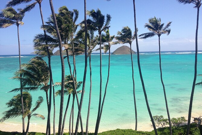 Lanikai to Mokulua islands Stand Up Paddle Board Tour - Who should book this adventure?