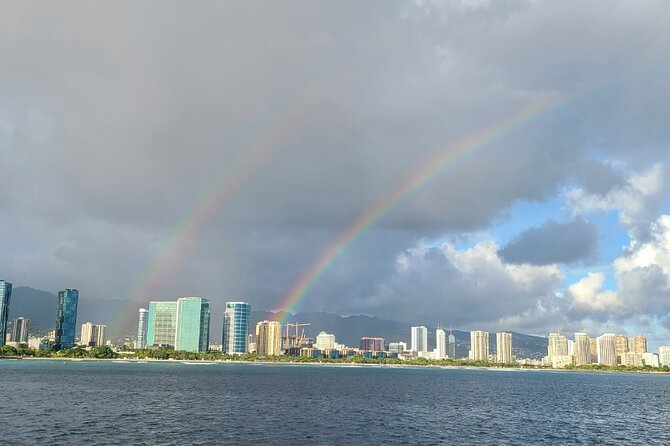 Late Breakfast Cruise in Honolulu - Dolphins, turtles, and winter whales