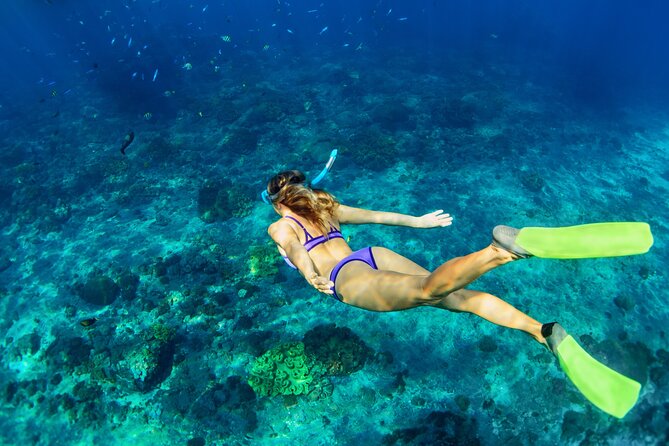 Luxury Diamond Head Sunset Sail - Key points to know before booking