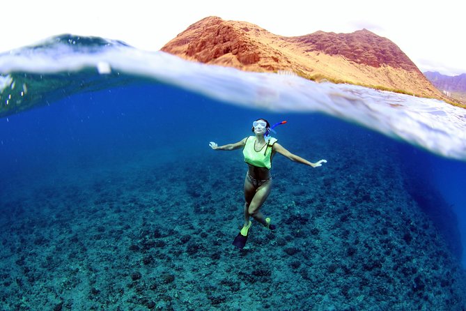 Luxury Snorkel Cruise, Local Buffet with Whale & Dolphin Watch - Why the Western Coast Makes This Cruise Special