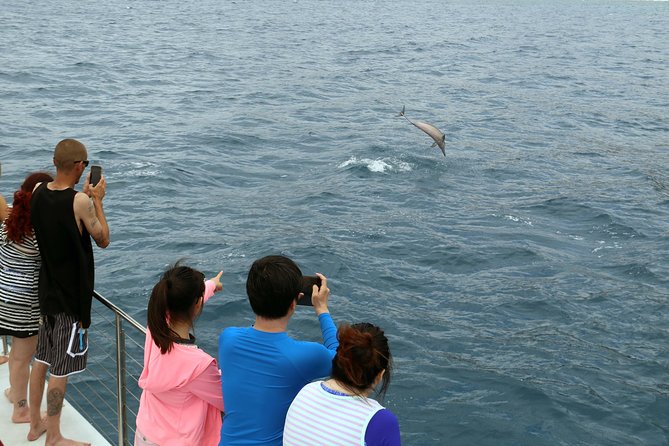Luxury Snorkel Cruise, Local Buffet with Whale & Dolphin Watch - Waikiki Pickup and the Long Morning