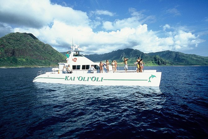 Luxury Snorkel Cruise, Local Buffet with Whale & Dolphin Watch - The Wildlife Search Along Oahu’s Coast
