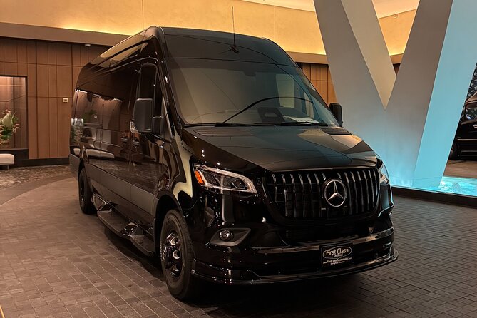 Luxury Sprinter Transfer Airport, Waikiki and Cruise Terminal - Airport pickup, from baggage claim to the van