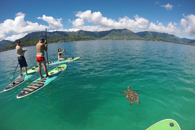Mahina Hawaii Full Day Adventure - Food trucks, farms, and local flavor